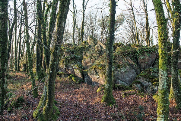 Retour à Cléguérec