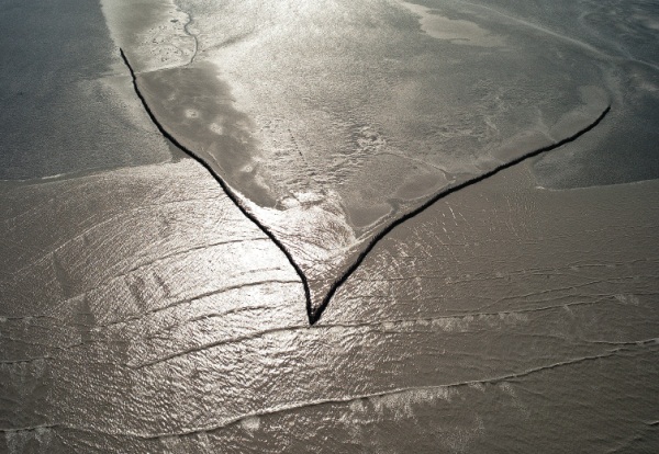 Les pêcheries refont surface