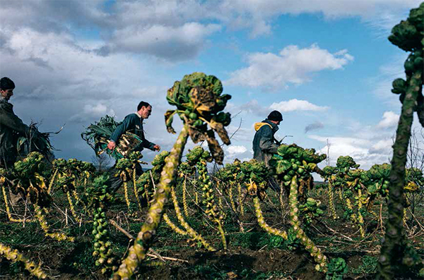 Une terre nourricière à la croisée des chemins