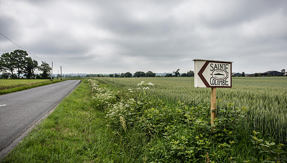 Brasseries artisanales et microbrasseries : Sainte Colombe