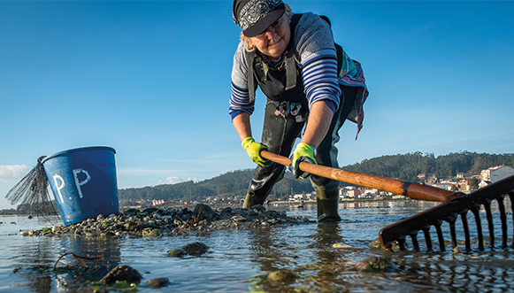 Mariscadoras, des femmes contre vents et marées