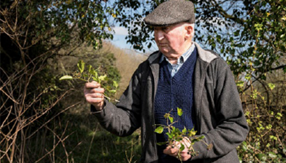 Les frères Morvan, héritiers d’une tradition orale