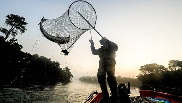 Passion bar, à la pêche au loup