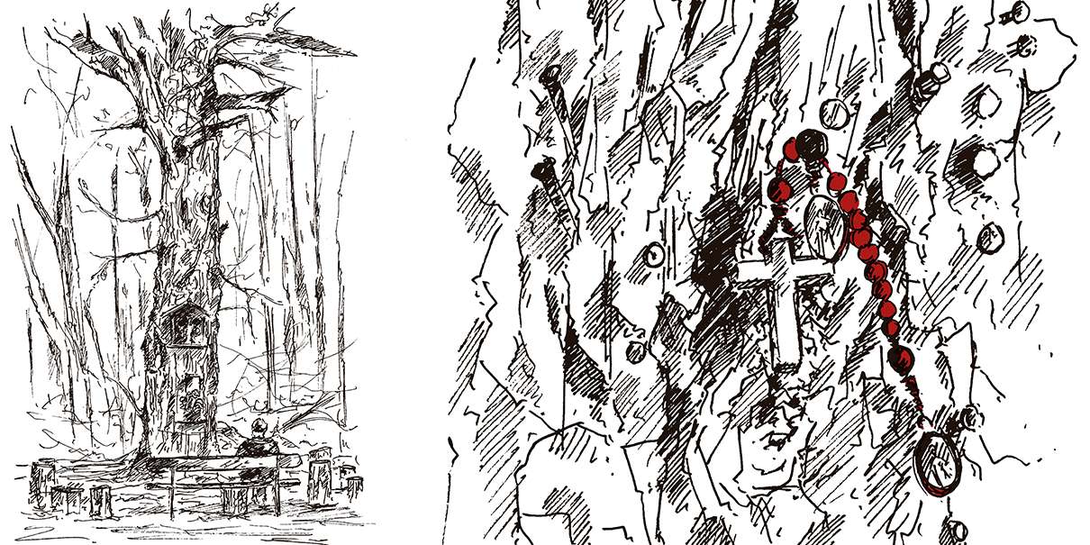 Chene au clou de Bonnouvre, illustration de Liz Hascoet