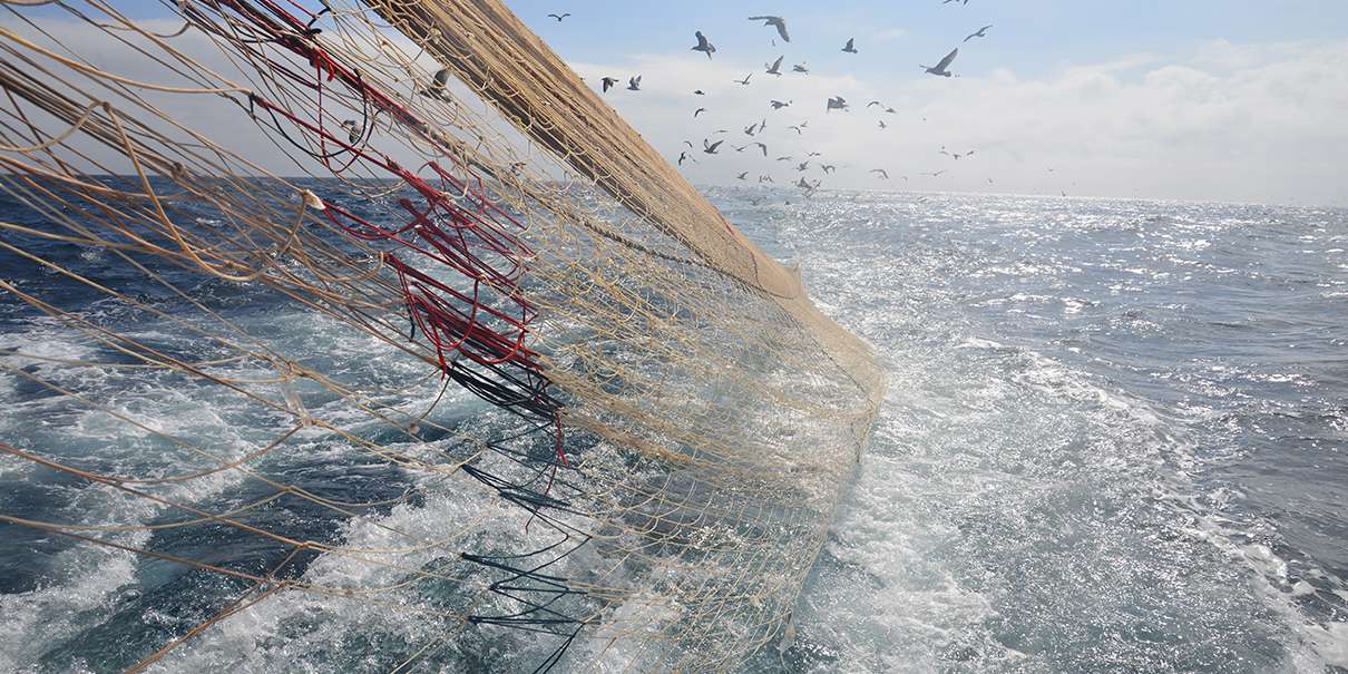 Le défi du recyclage des filets de pêche