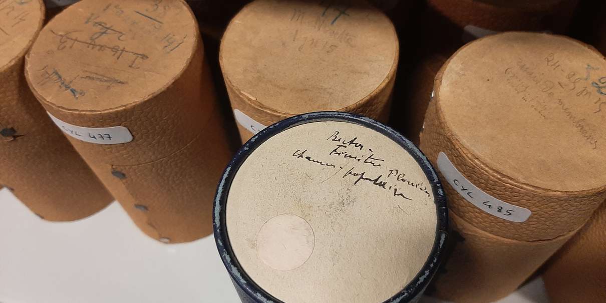 Rouleaux des premiers enregistrements audio en breton