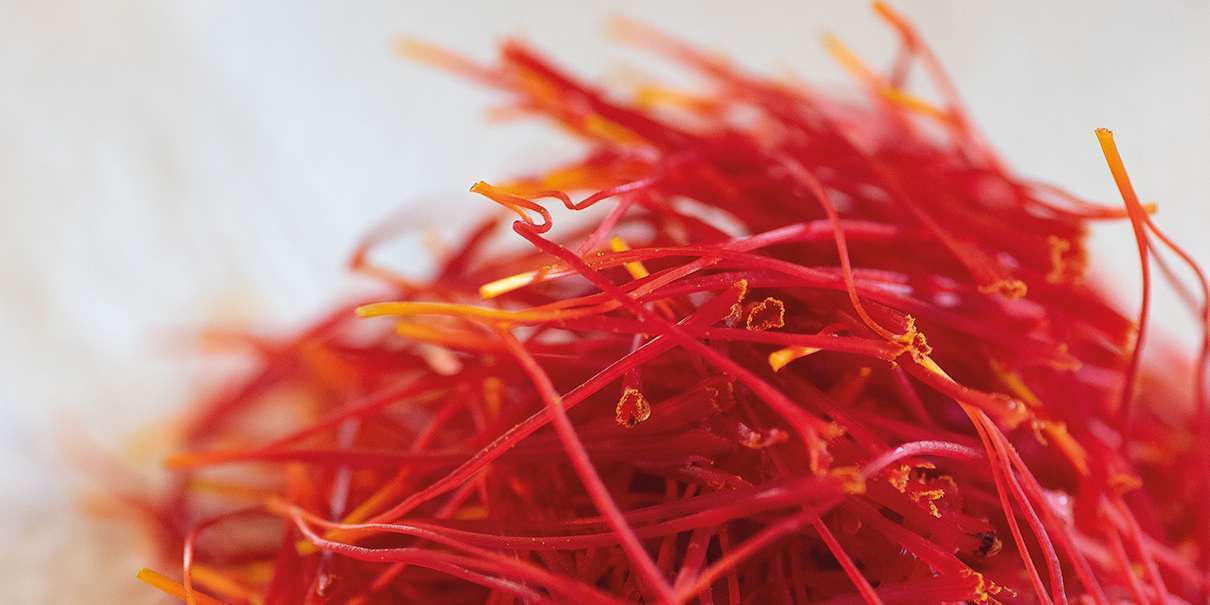 Le safran, or rouge au Pays Bigouden