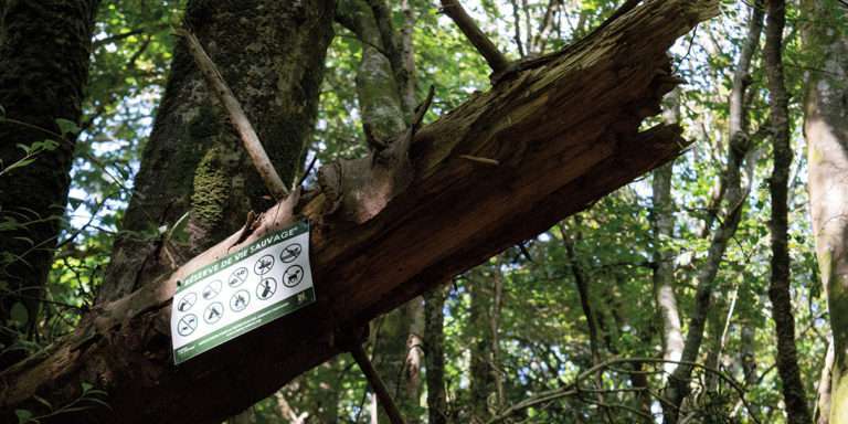 Réserve de vie sauvage du Trégor, la cloche renversée