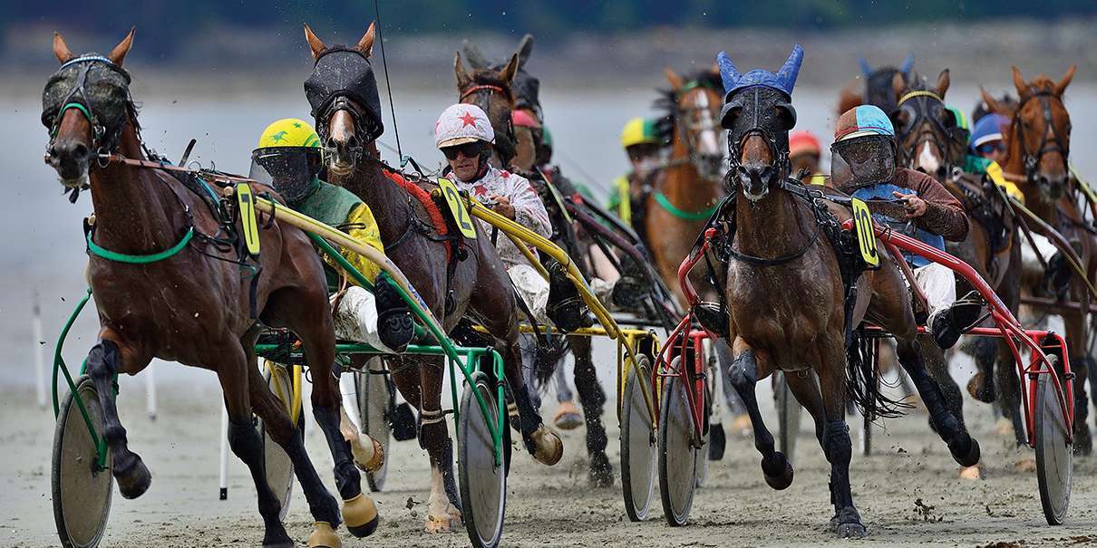 Course hippique hippordome marin, photo Didier Houeix