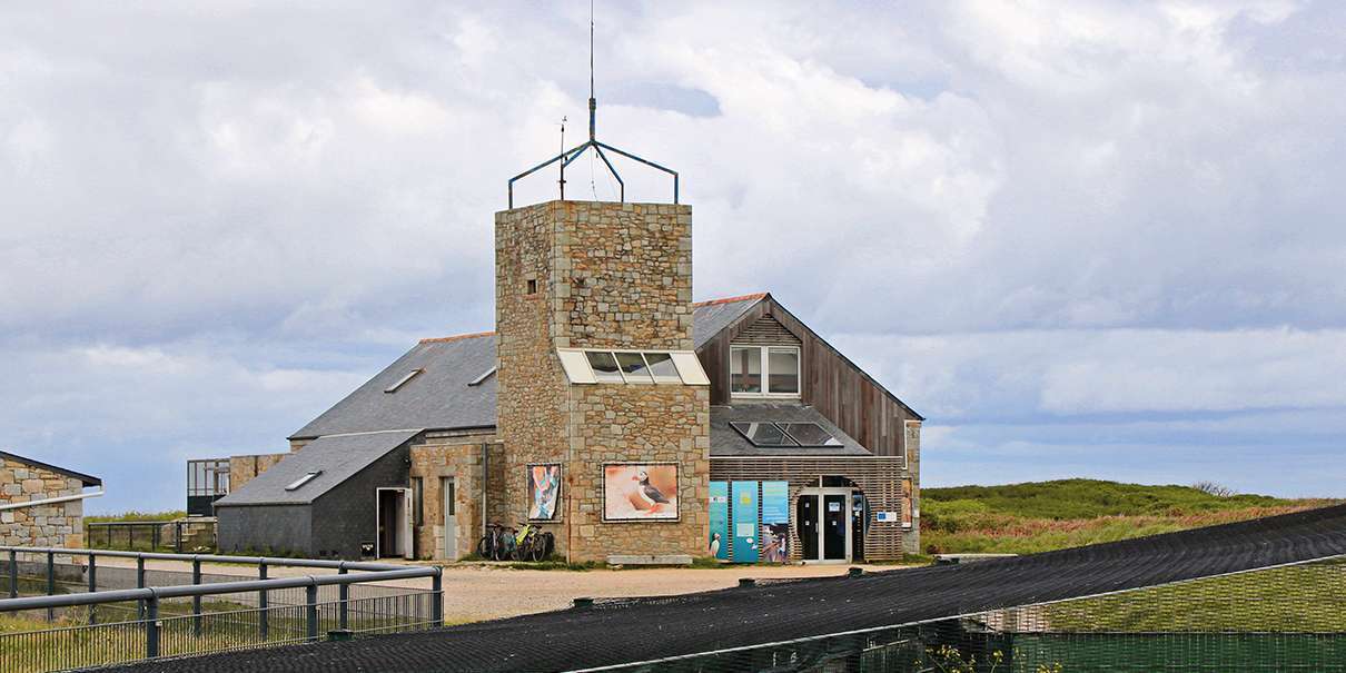 Réserve des Sept Îles, Île grande, la LPO veille