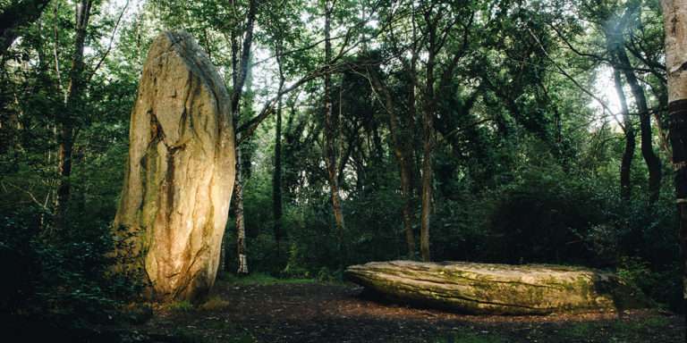 Un alignement qui a compté plus de 600 menhirs. Le Pays bigouden, terre de mégalithes 