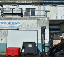 Installé au port de pêche, le Panier de la Mer de Lorient accueille 50 salariés en insertion chaque année.