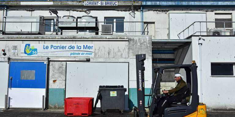 Paniers de la Mer, quand la réinsertion passe par le poisson