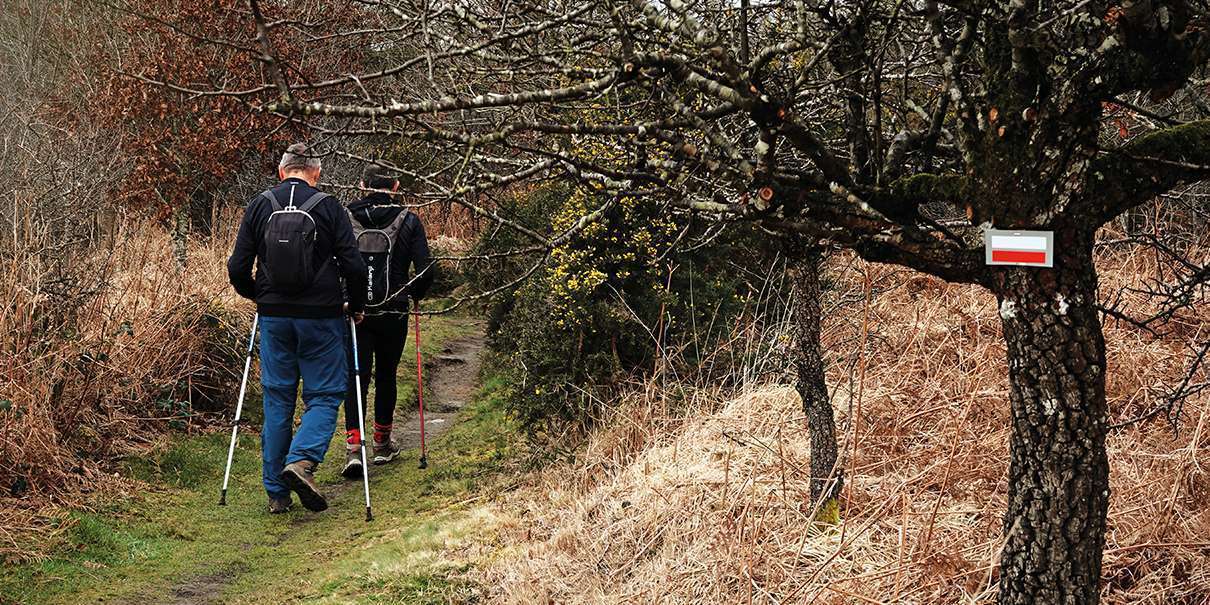Le GR 37, sentier de grande randonnée en centre Bretagne