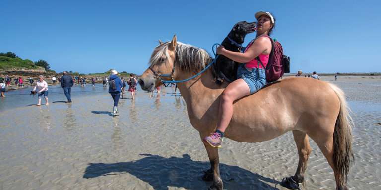 Pardon aux chevaux de l’île  Saint-Gildas (22). Une tradition solidement établie depuis près de 200 ans