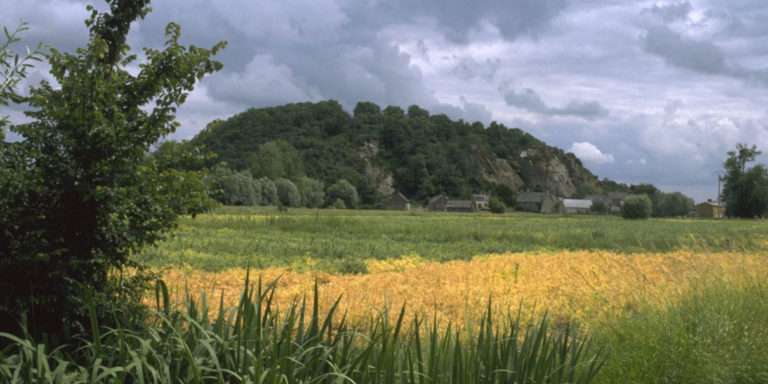 Le Mont-Dol au temps des mammouths. La fabuleuse découverte du professeur Sirodot